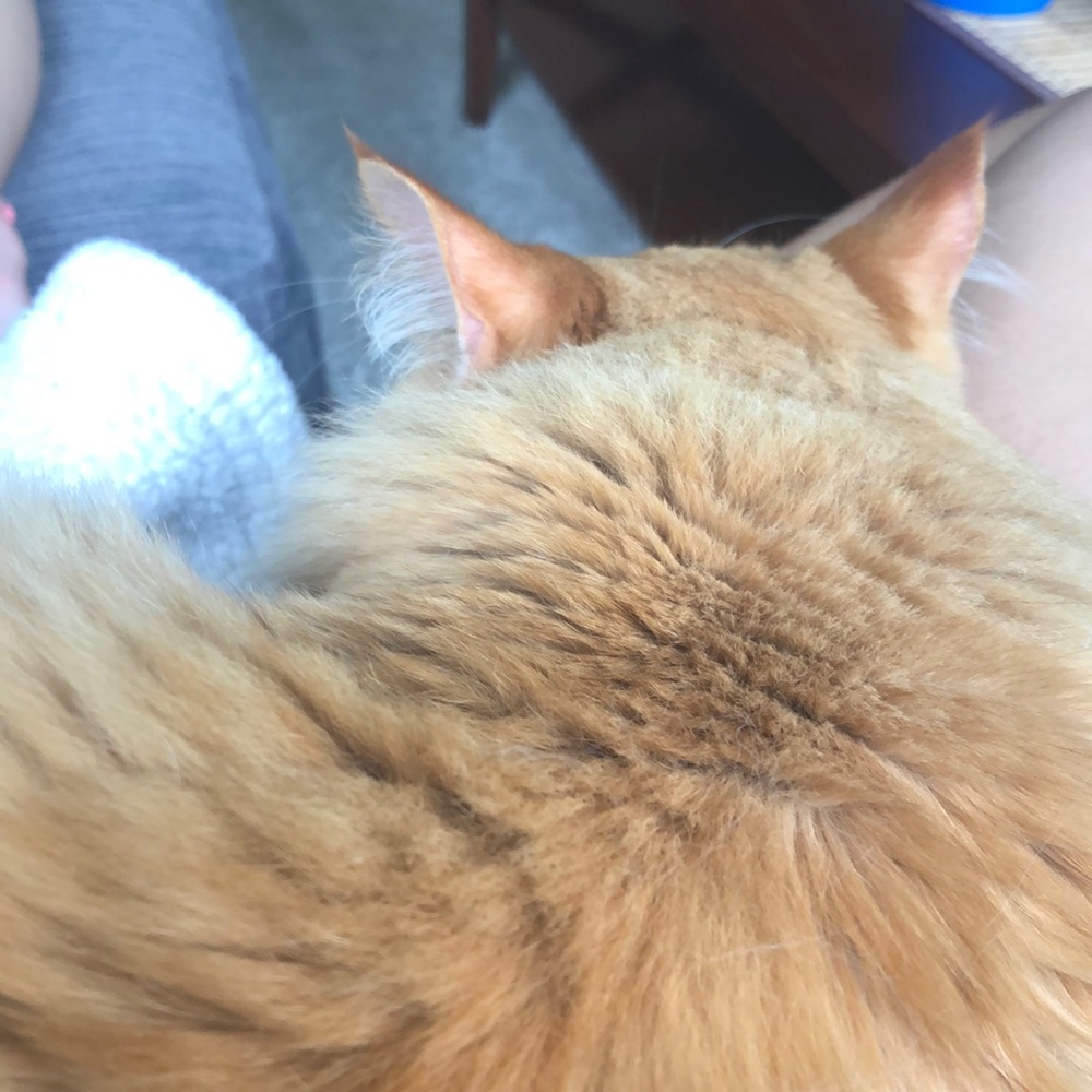 Meet your Posher, Kirsten